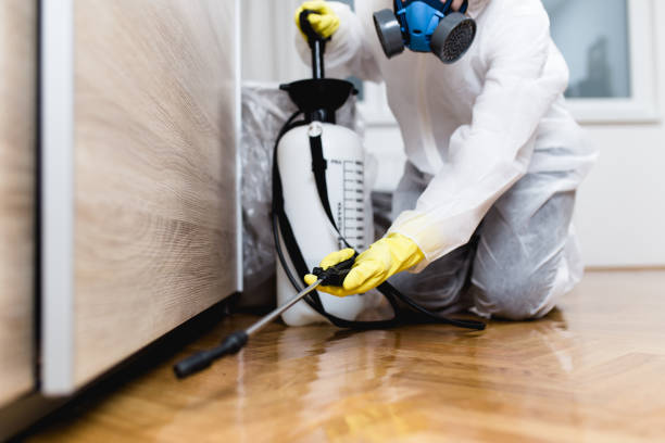 Best Best Pest Control Companies  in East Troy, WI