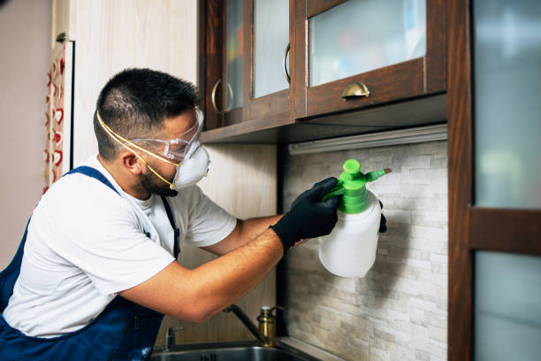 Best Affordable Pest Control Services  in East Troy, WI