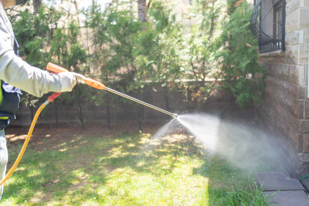 Best Wasp Removal Services  in East Troy, WI