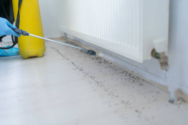  East Troy, WI Pest Control Pros