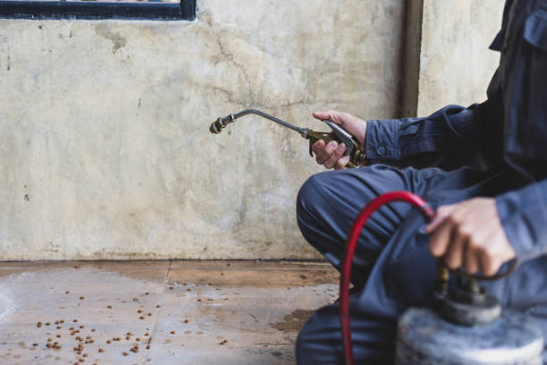 Best Pest Removal Services  in East Troy, WI